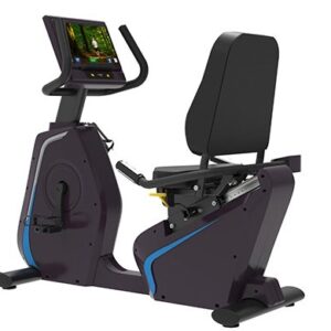 SV-2020A Recumbent Bike (Touch Screen)