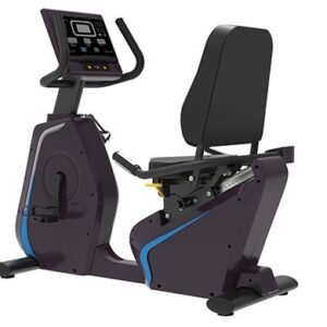 SV-2020B Recumbent Bike