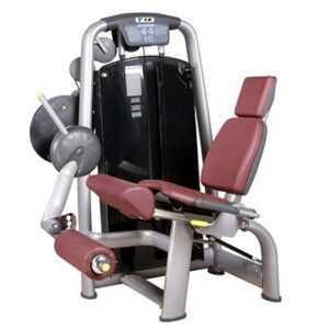 SV-6002 Seated Leg Extension