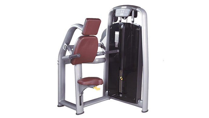 SV-6050 Triceps Dip