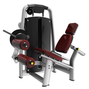 SV-6055 Seated Leg extension& Leg Curl
