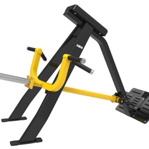 SV-6071 T Bar Rower